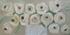 Beige Roses