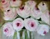 Delicate Pink
