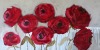 Large Red Roses(1)
